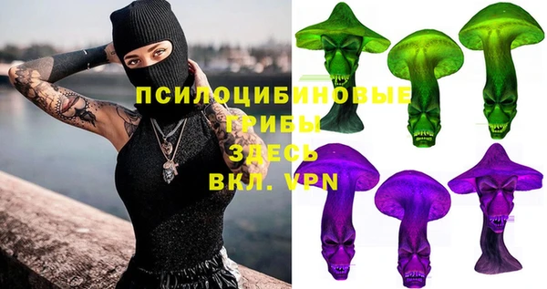 дурь Алексин