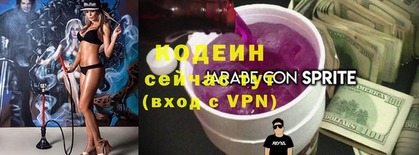 дурь Алексин