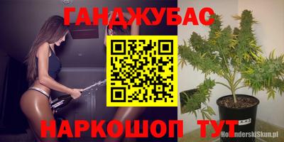 хмурый Абакан