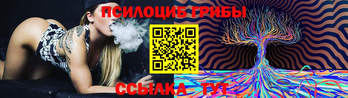Псилоцибиновые грибы ЛСД Анжеро-Судженск