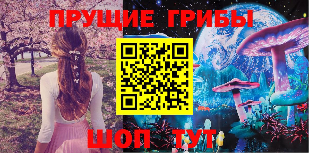 Анжеро-Судженск  Галлюциногенные грибы MAGIC MUSHROOMS  где купить наркотик  Вход с VPN 