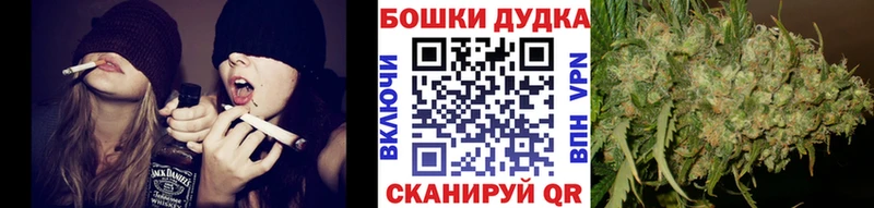 Канабис сатива  Анжеро-Судженск 